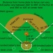 Rounding the Bases: New Baseball Euphemisms for 2011 | Regator ... Rounding the Bases: New Baseball Euphemisms for 2011 | Regator ...